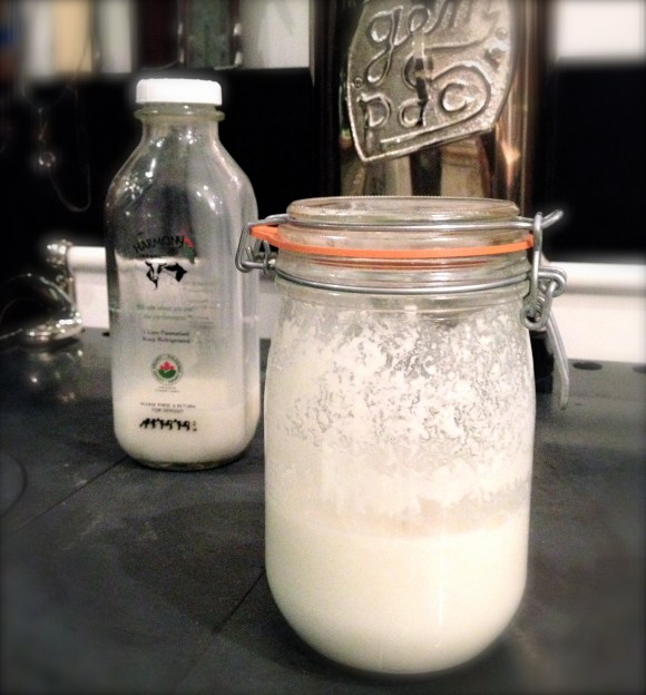stovetop kefir