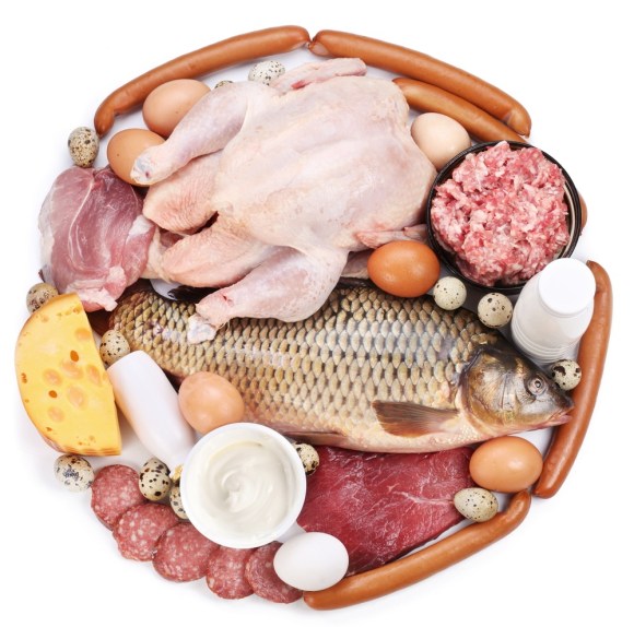 protein platter
