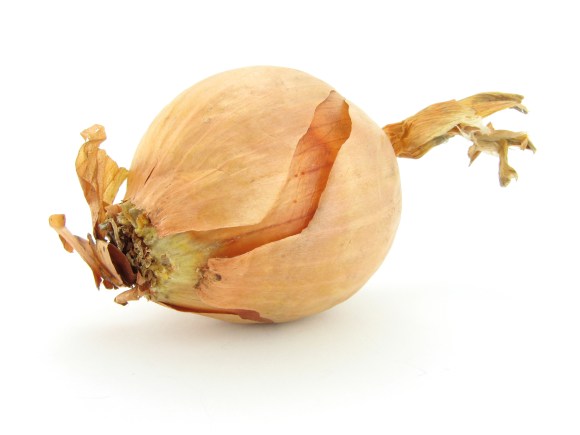 Onion