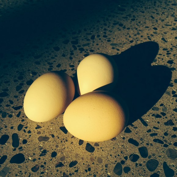 Raw Eggs: Let's Crack this one Apart